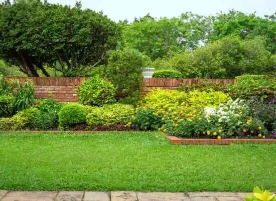 landscaping services Braymer